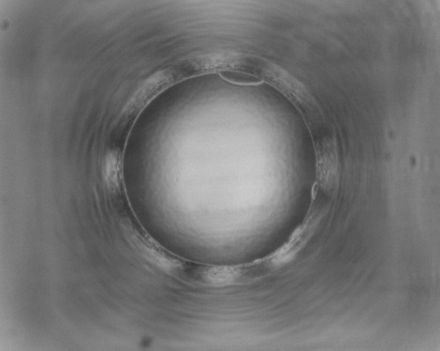 X0000075330142200609151455