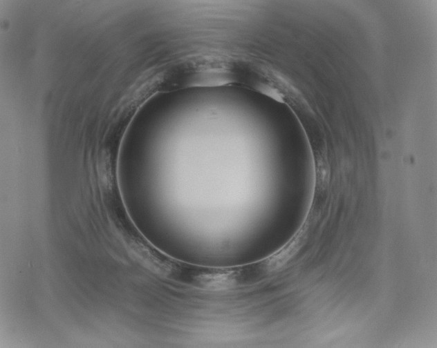 X0000075330170200609151455