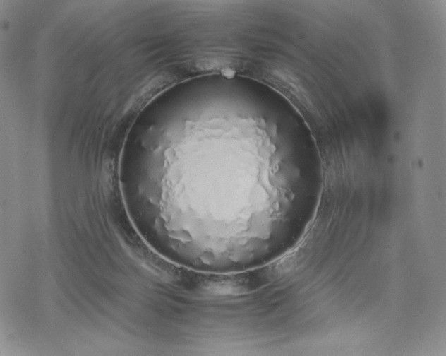 X0000075330171200609151455