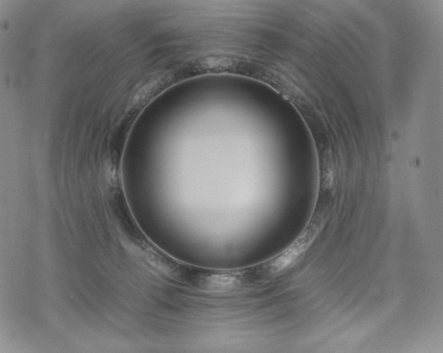 X0000075330176200609151455