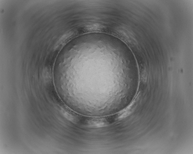 X0000075330179200609151455
