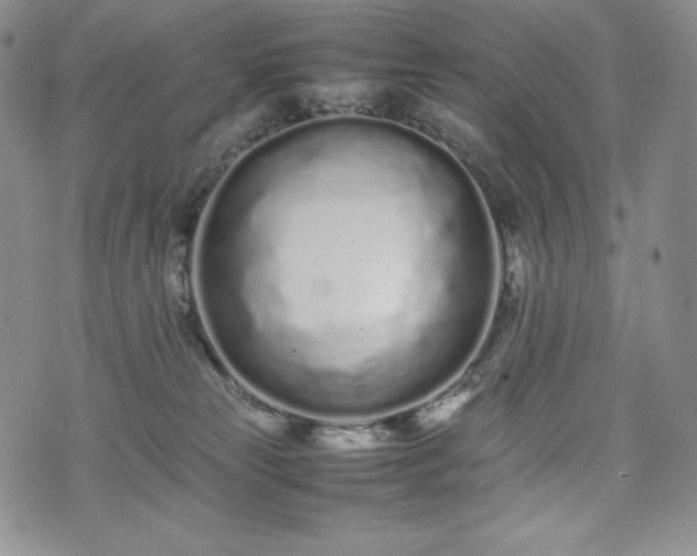 X0000075330181200609151455