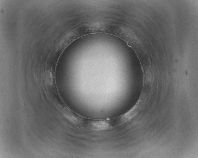 X0000075330183200609151455