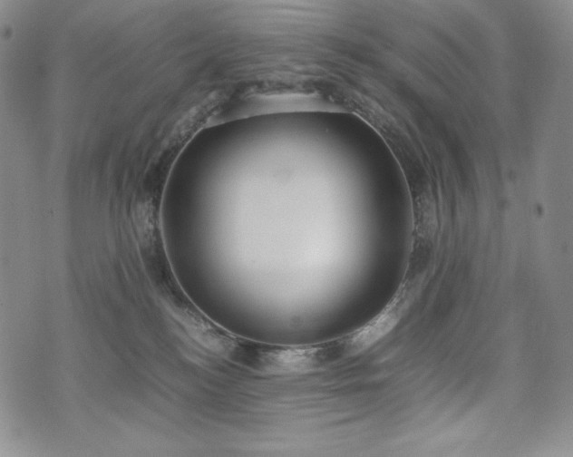 X0000075330184200609151455
