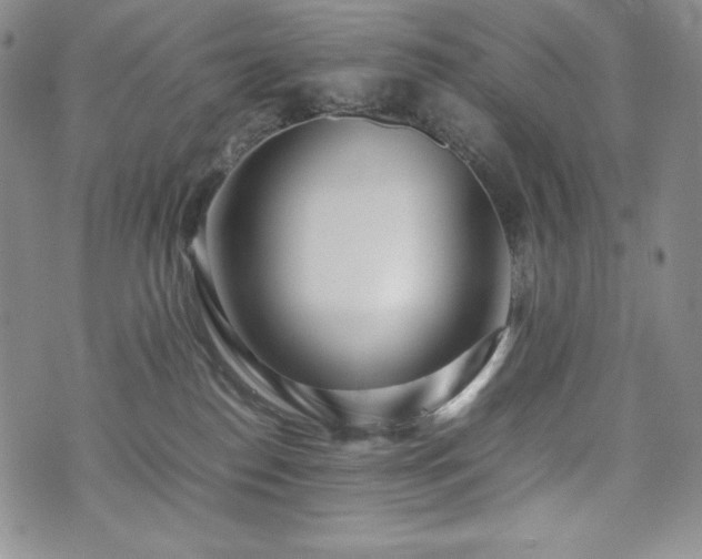 X0000075330186200609151455