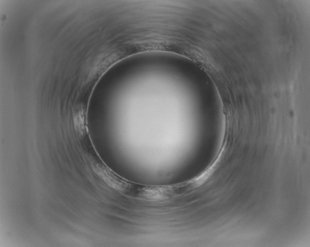X0000075330190200609151455