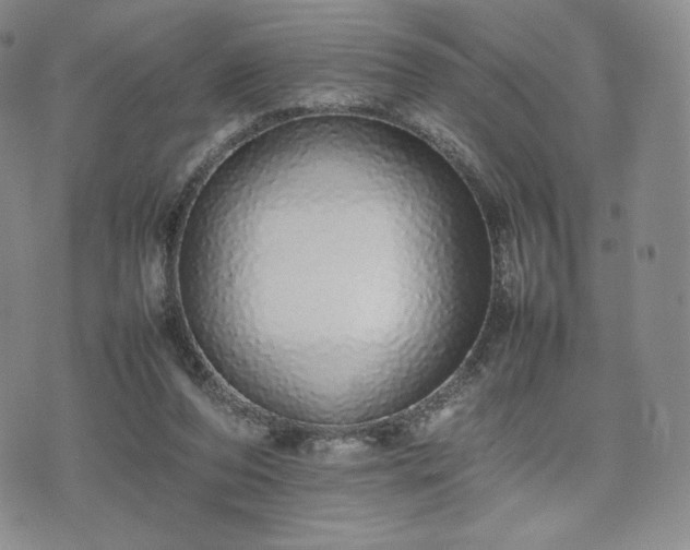 X0000075330208200609151454