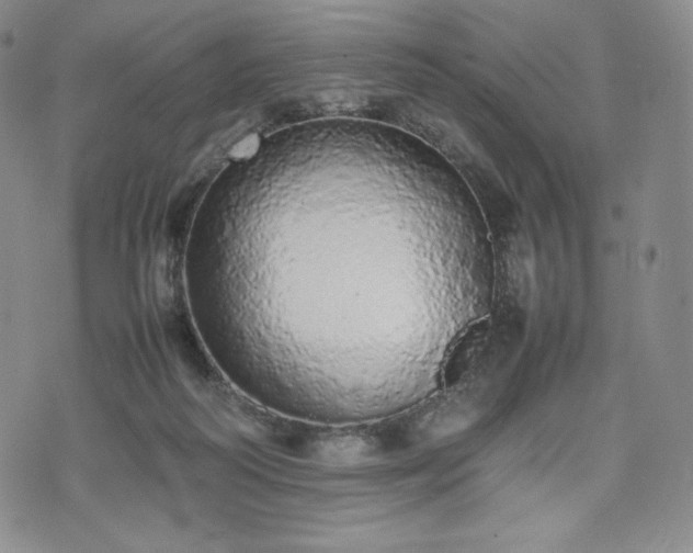 X0000075330218200609151454