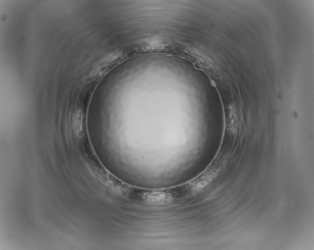 X0000075330230200609151454