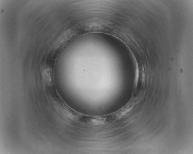 X0000075330232200609151454