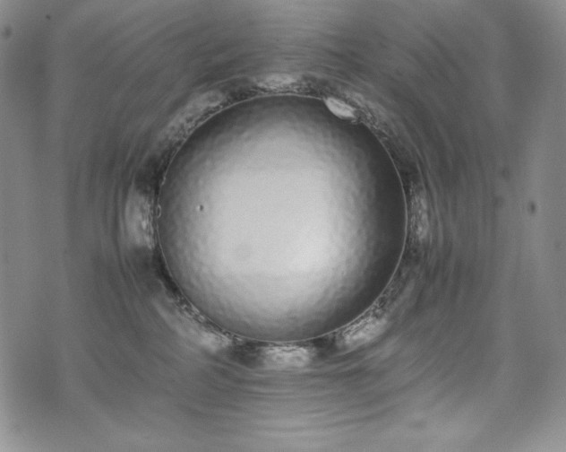X0000075330234200609151454