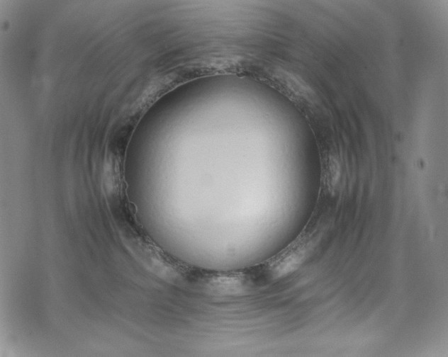 X0000075330236200609151454