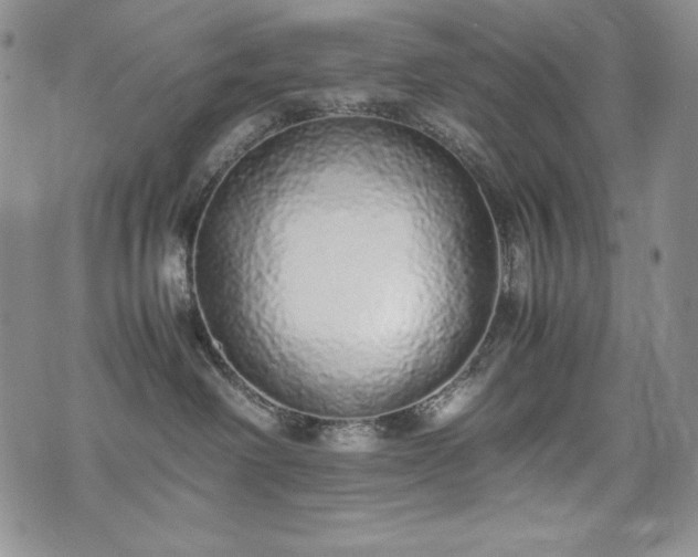 X0000075330238200609151454