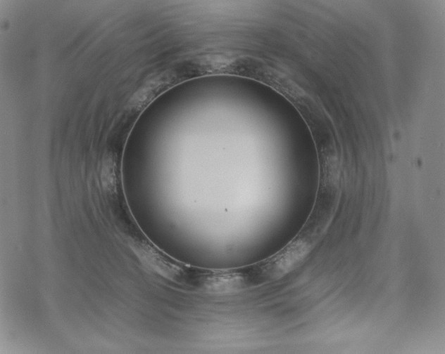 X0000075330274200609151454