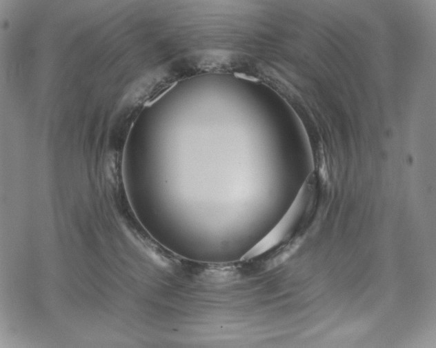X0000075330280200609151454