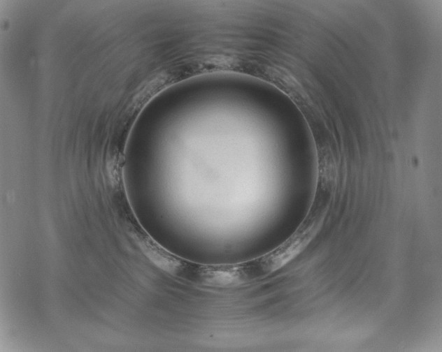 X0000075330285200609151454