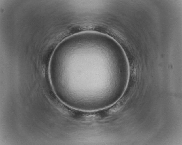 X0000075330315200609151453