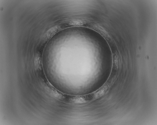 X0000075330322200609151452