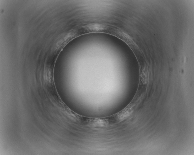 X0000075330330200609151452