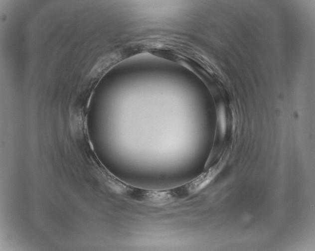 X0000075330333200609151452