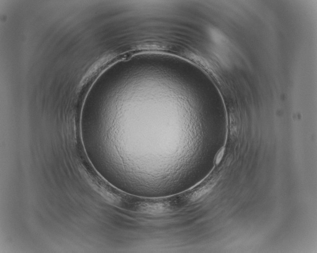 X0000075330349200609151452