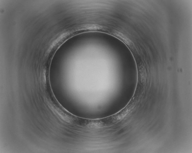 X0000075330350200609151452