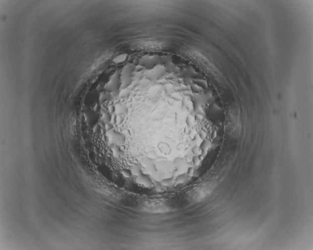 X0000075330355200609151452