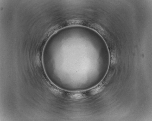 X0000075330377200609151452