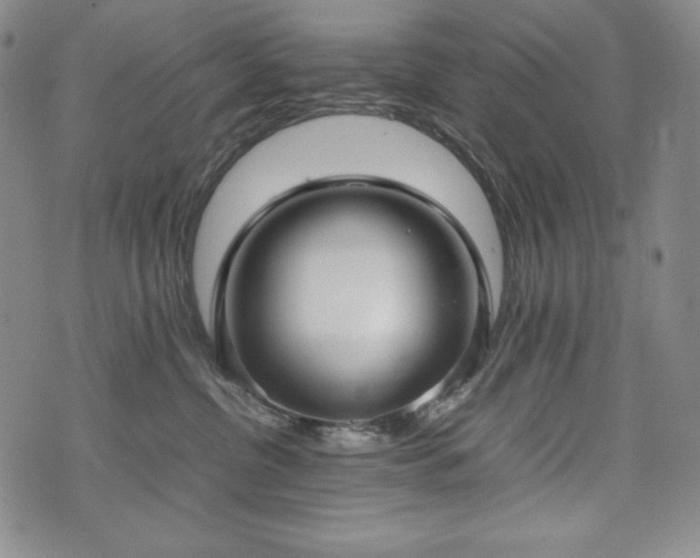 X0000075330380200609151452