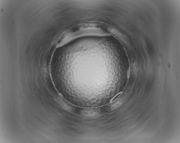 X0000075330381200609151452