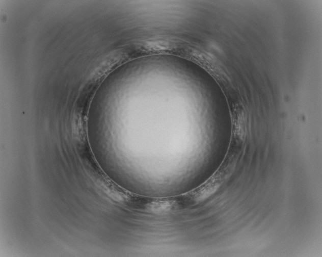 X0000075330418200609151451