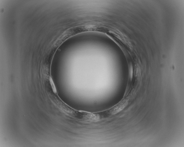 X0000075330421200609151451