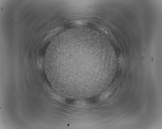 X0000075330423200609151451