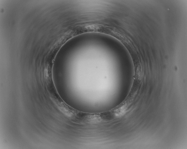 X0000075330424200609151451