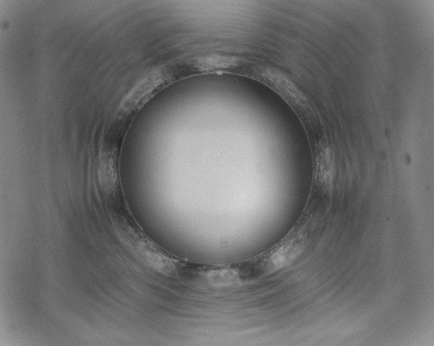 X0000075330426200609151451