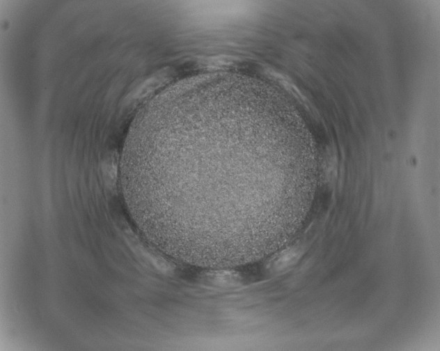 X0000075330427200609151451