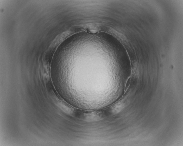 X0000075330430200609151451
