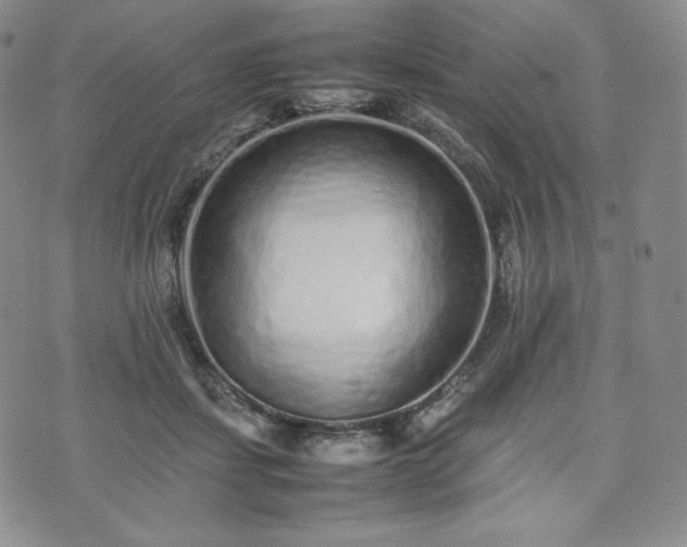 X0000075330459200609151450
