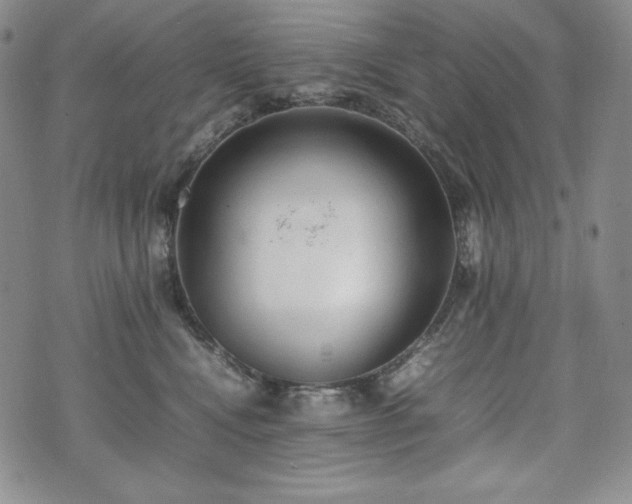 X0000075330472200609151450