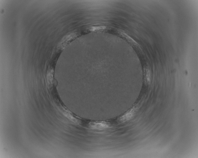 X0000075330475200609151451