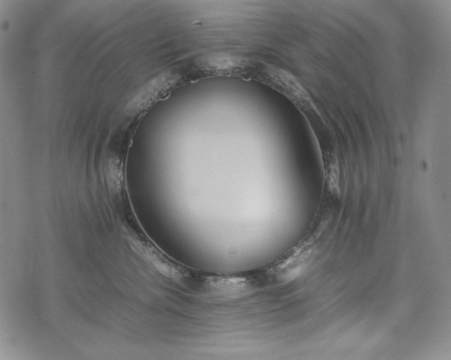 X0000075330476200609151451