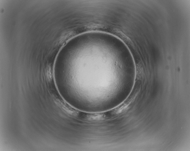 X0000075330479200609151451