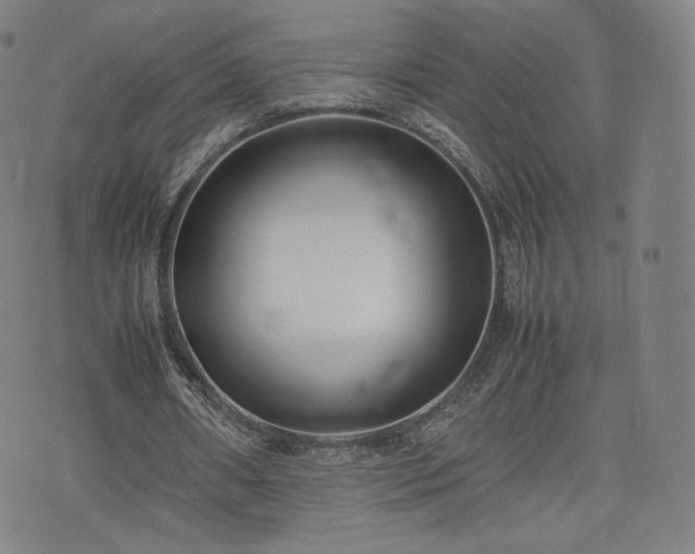 X0000075330482200609151450