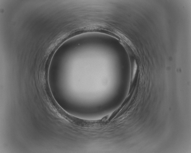 X0000075330485200609151450
