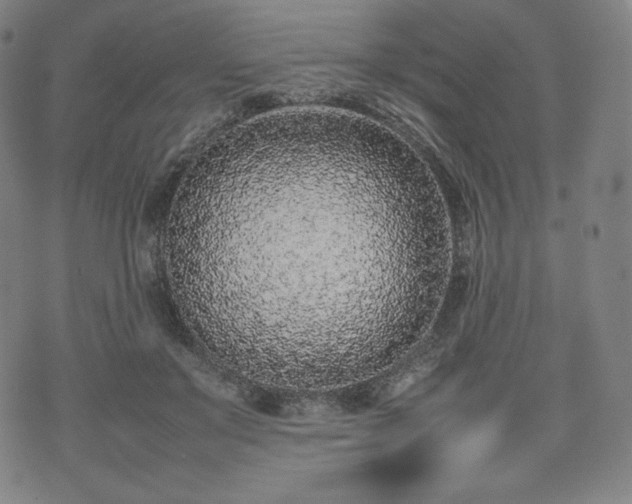 X0000075330503200609151449