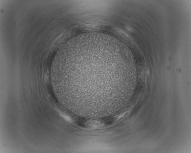 X0000075330507200609151449