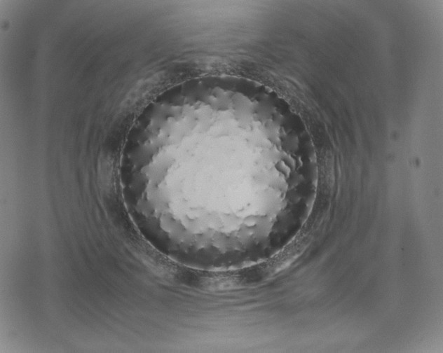 X0000075330511200609151449