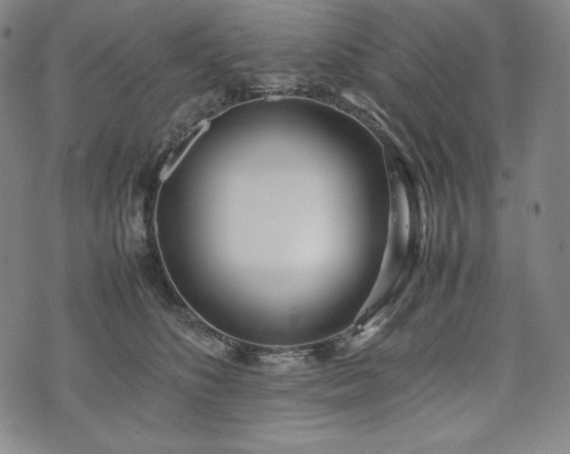 X0000075330516200609151449