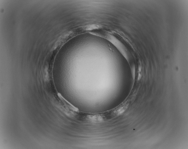 X0000075330520200609151449