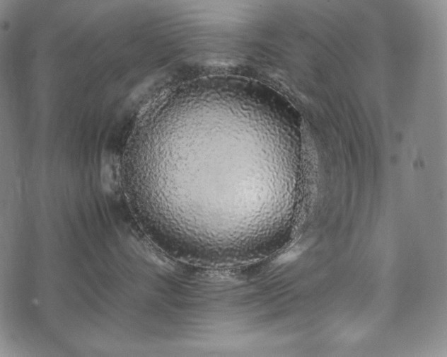 X0000075330528200609151449